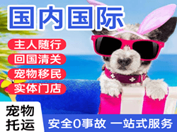 玉龙航空邮寄国际宠物托运 【国